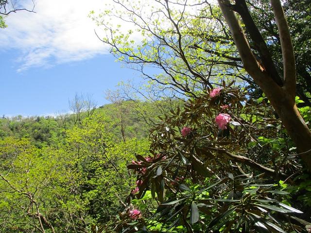 画像3: 来年の宿泊ツアーの企画素材を探して奈良県の大峰山に行ってきました!