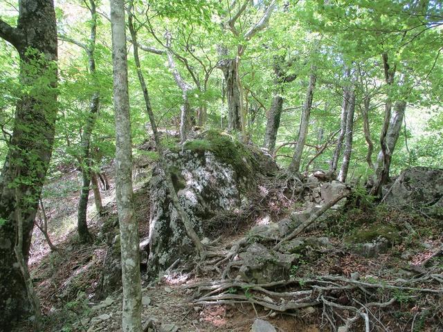 画像2: 来年の宿泊ツアーの企画素材を探して奈良県の大峰山に行ってきました!
