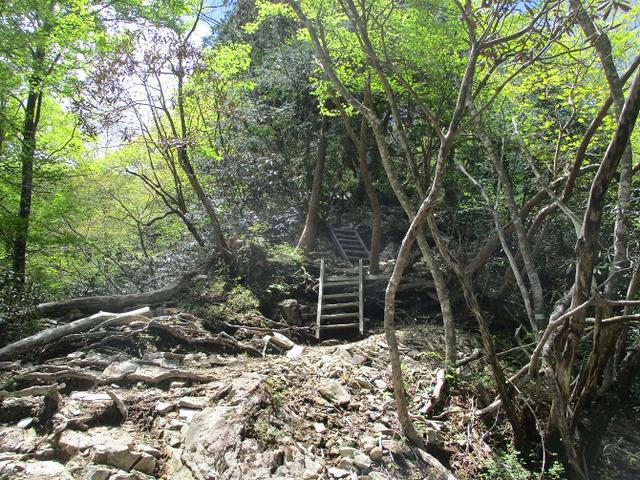画像4: 来年の宿泊ツアーの企画素材を探して奈良県の大峰山に行ってきました!