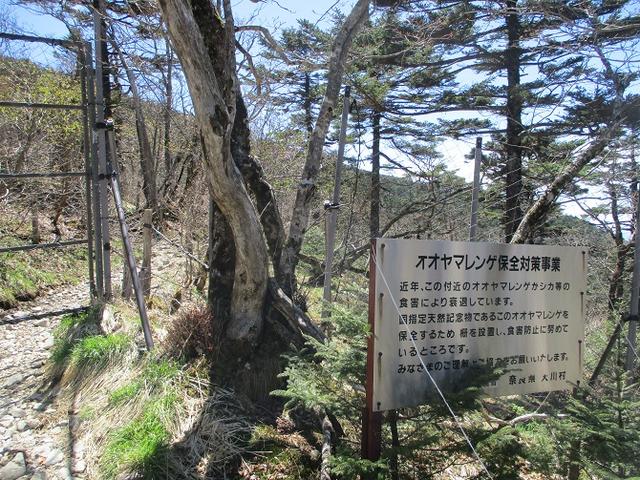 画像12: 来年の宿泊ツアーの企画素材を探して奈良県の大峰山に行ってきました!