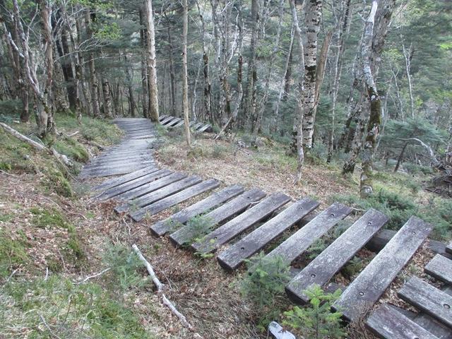 画像5: 来年の宿泊ツアーの企画の素材を探して奈良県の大峰山に行ってきました!