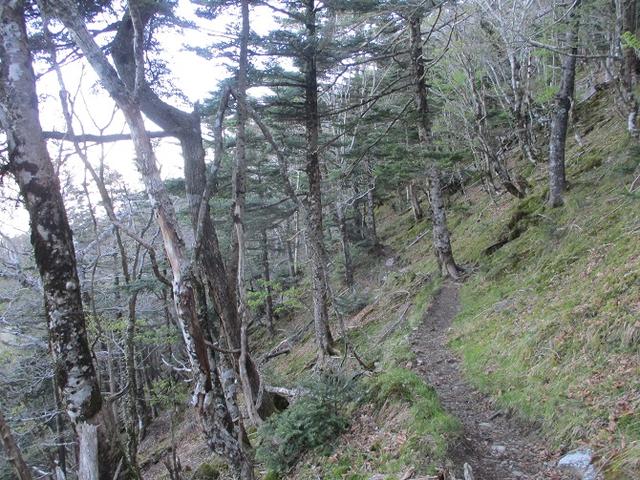 画像7: 来年の宿泊ツアーの企画の素材を探して奈良県の大峰山に行ってきました!