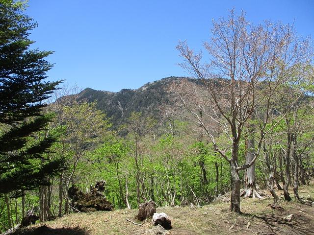 画像6: 来年の宿泊ツアーの企画素材を探して奈良県の大峰山に行ってきました!