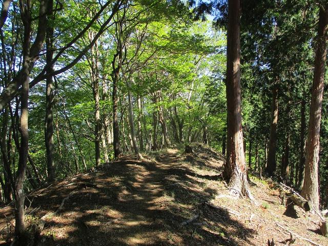 画像9: 来年の宿泊ツアーの企画の素材を探して奈良県の大峰山に行ってきました!
