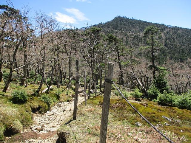 画像11: 来年の宿泊ツアーの企画素材を探して奈良県の大峰山に行ってきました!