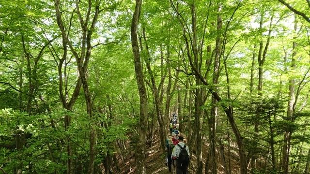 画像8: 5月19日に荻野ガイドのコースで 宮地山~セーメーバン へ行って来ました♪