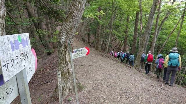 画像11: 5月19日に荻野ガイドのコースで 宮地山~セーメーバン へ行って来ました♪