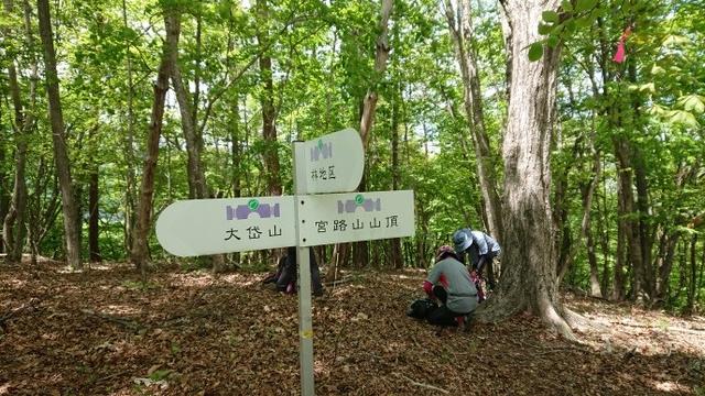 画像6: 5月19日に荻野ガイドのコースで 宮地山~セーメーバン へ行って来ました♪
