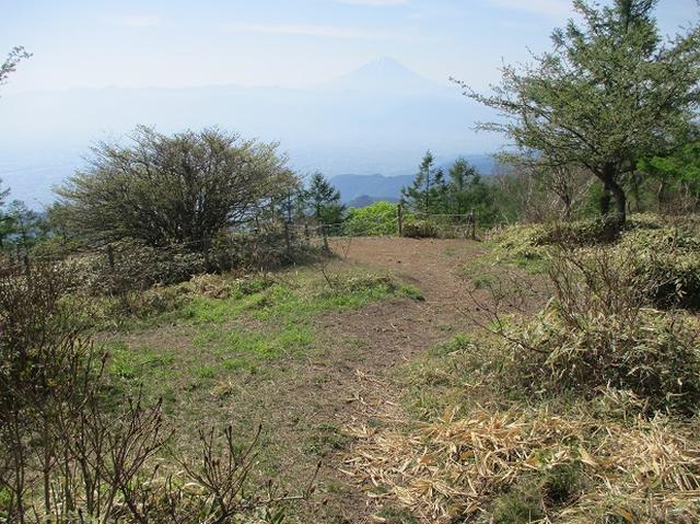 画像3: 6月の山旅会 「甘利山」 の下見にいってきました!