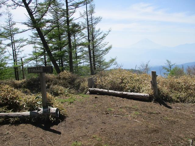 画像10: 6月の山旅会 「甘利山」 の下見にいってきました!