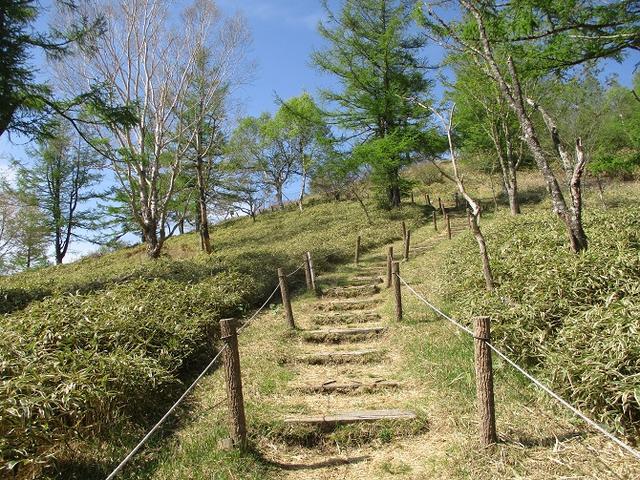 画像2: 6月の山旅会 「甘利山」 の下見にいってきました!