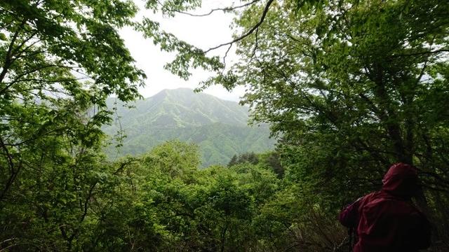 画像10: 5月20日に佐藤威行ガイドのツアーで、 大室山~加入道山 へ行って来ました♪