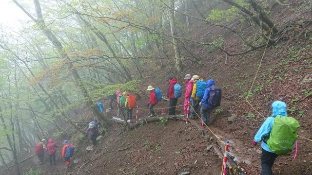 画像8: 5月20日に佐藤威行ガイドのツアーで、 大室山~加入道山 へ行って来ました♪