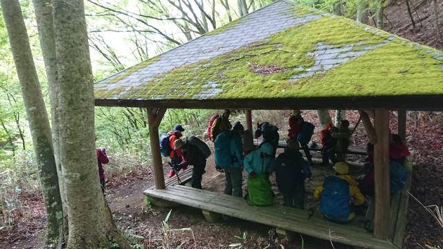 画像11: 5月20日に佐藤威行ガイドのツアーで、 大室山~加入道山 へ行って来ました♪