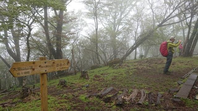 画像7: 5月20日に佐藤威行ガイドのツアーで、 大室山~加入道山 へ行って来ました♪