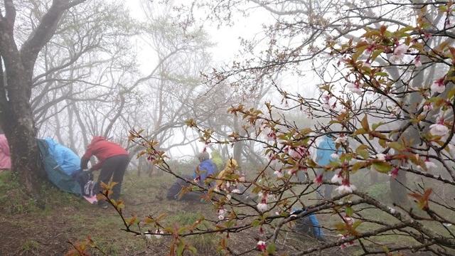 画像4: 5月20日に佐藤威行ガイドのツアーで、 大室山~加入道山 へ行って来ました♪