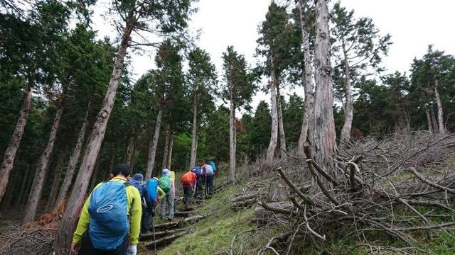 画像1: 5月20日に佐藤威行ガイドのツアーで、 大室山~加入道山 へ行って来ました♪