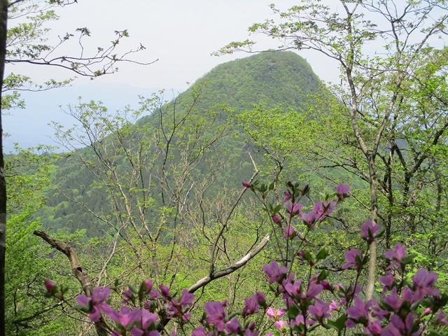 画像8: 5月27日に山旅会 「榛名富士」 ツアーにいってきました!