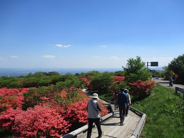 画像17: 5月24日に岡田ガイドのコースで 那須日の出平 のミネザクラに会いに行って来ました♪
