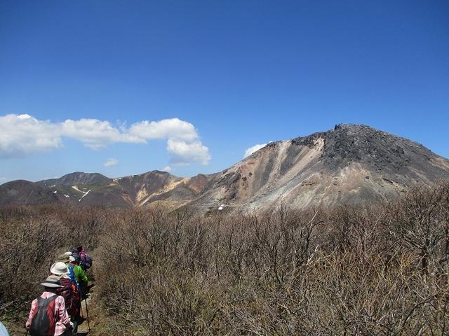 画像15: 5月24日に岡田ガイドのコースで 那須日の出平 のミネザクラに会いに行って来ました♪