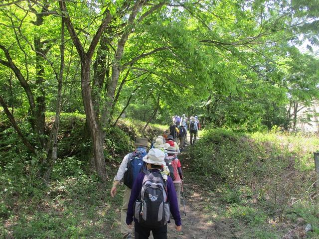 画像1: 5月27日に山旅会 「榛名富士」 ツアーにいってきました!