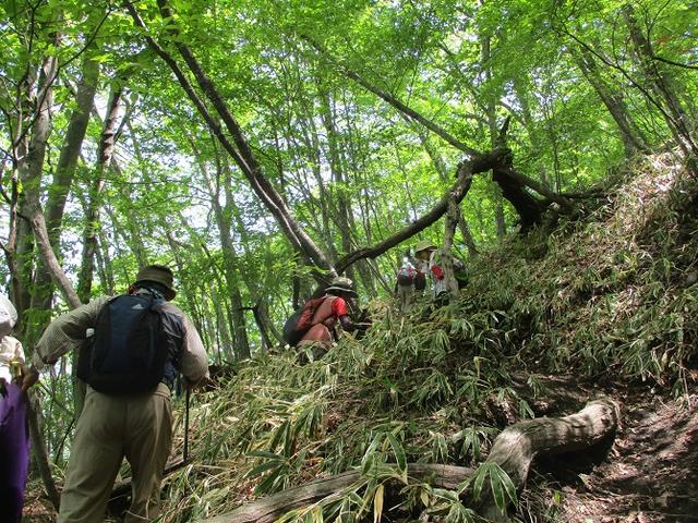 画像4: 5月27日に山旅会 「榛名富士」 ツアーにいってきました!