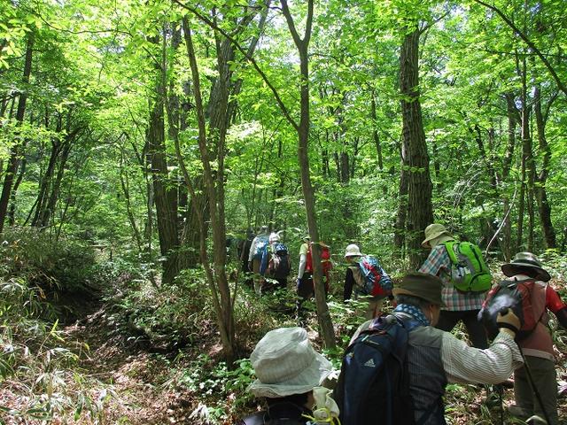 画像2: 5月27日に山旅会 「榛名富士」 ツアーにいってきました!