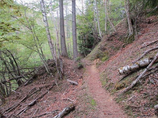 画像3: 6月の山旅会 「甲武信ヶ岳」 ツアーの下見に行ってきました!