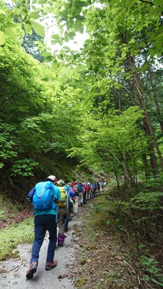 画像1: 6月2日に宮下ガイドの秀麗富岳十二景シリーズ第10回で 雁ヶ腹摺山 へ行ってきました♪