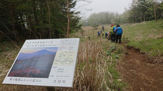 画像12: 6月2日に宮下ガイドの秀麗富岳十二景シリーズ第10回で 雁ヶ腹摺山 へ行ってきました♪