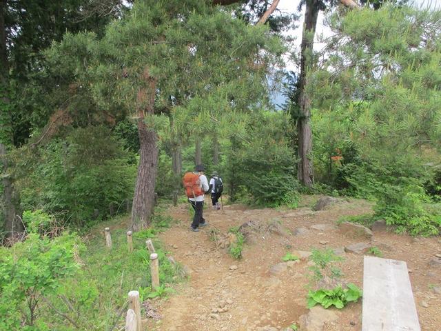 画像8: 6月1日に山旅会 「金毘羅尾根から日の出山」 ツアーに行ってきました!