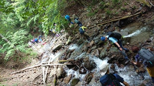 画像5: 6月2日に宮下ガイドの秀麗富岳十二景シリーズ第10回で 雁ヶ腹摺山 へ行ってきました♪