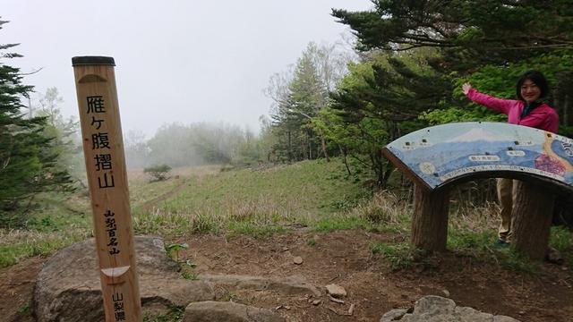 画像11: 6月2日に宮下ガイドの秀麗富岳十二景シリーズ第10回で 雁ヶ腹摺山 へ行ってきました♪