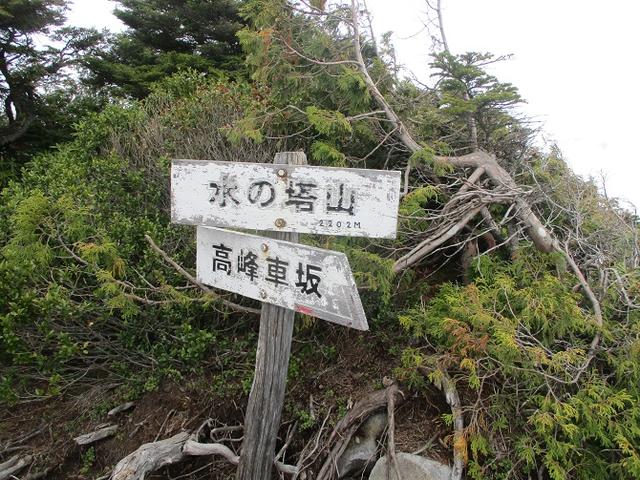 画像5: 6月の山旅会 「水ノ塔山から東篭ノ登山」 ツアーの下見に行ってきました!