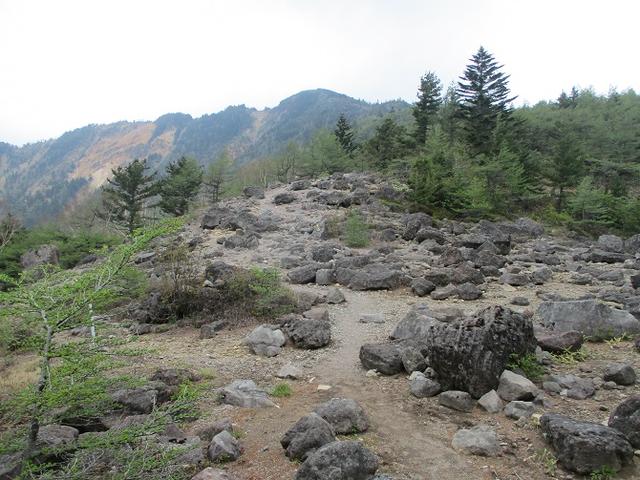 画像2: 6月の山旅会 「水ノ塔山から東篭ノ登山」 ツアーの下見に行ってきました!