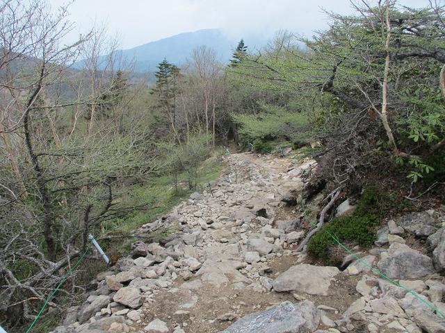画像9: 6月の山旅会 「水ノ塔山から東篭ノ登山」 ツアーの下見に行ってきました!