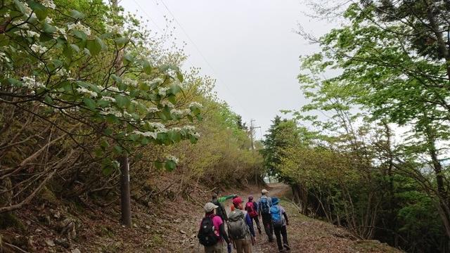 画像7: 本日は和歌山県の最高峰・ 龍神岳 ツアーのご報告です♪