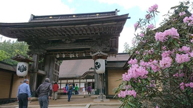 画像8: 本日は和歌山県の最高峰・ 龍神岳 ツアーのご報告です♪