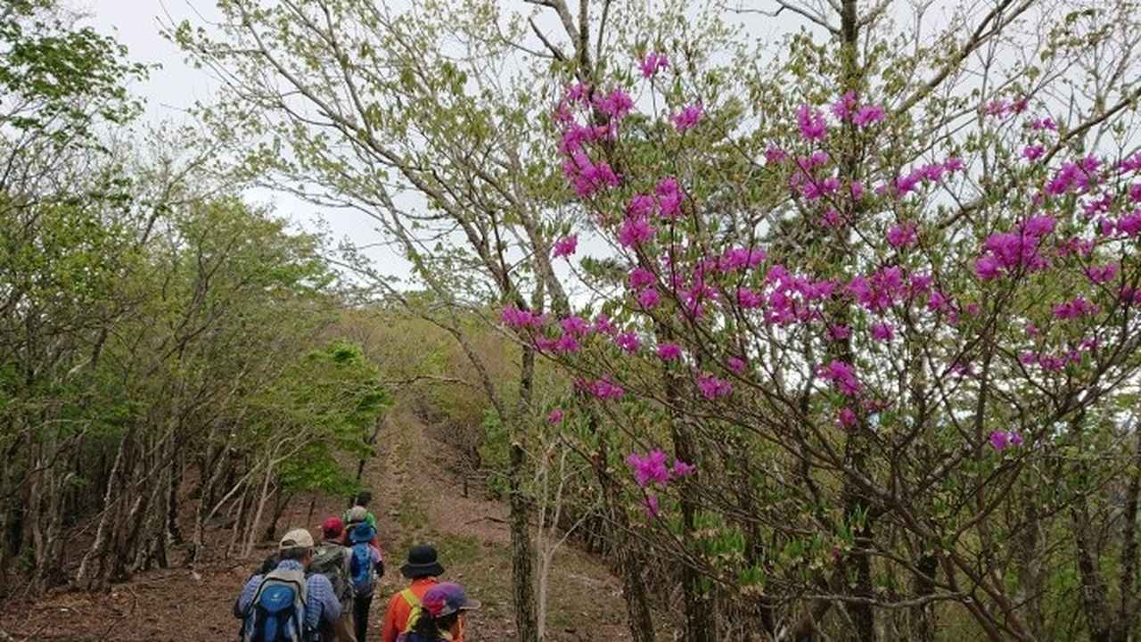 画像5: 本日は和歌山県の最高峰・龍神岳ツアーのご報告です♪