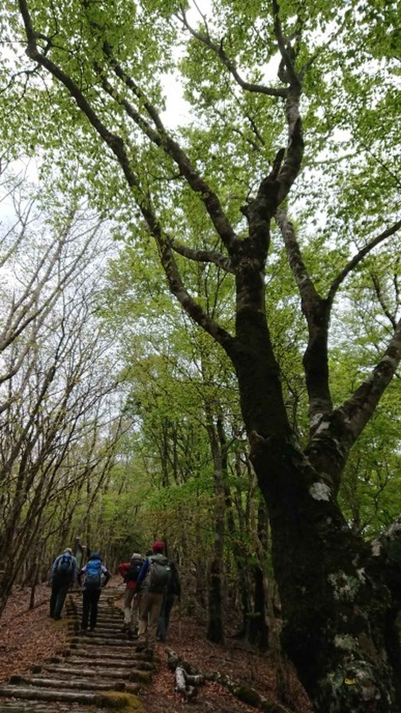 画像2: 本日は和歌山県の最高峰・龍神岳ツアーのご報告です♪