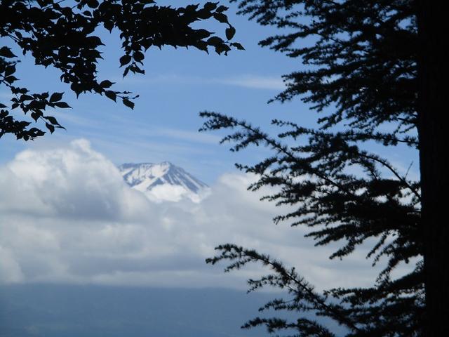 画像15: 岡田ガイドのハイキングコースで山梨県の 新倉山 へ行ってきました♪