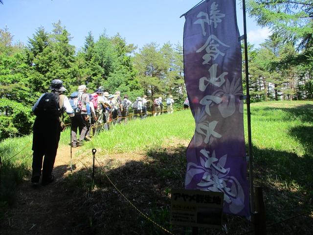 画像7: 岡田ガイドのハイキングコースで山梨県の 新倉山 へ行ってきました♪