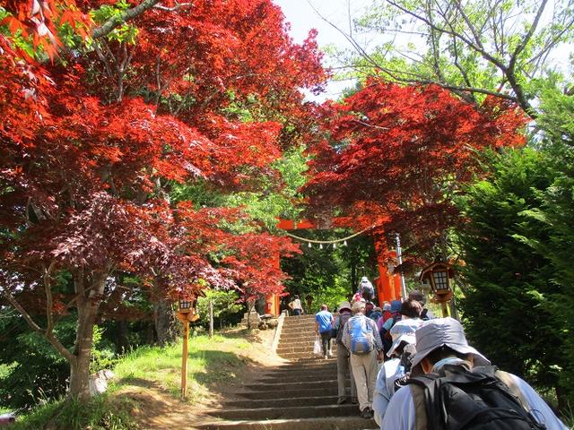 画像4: 岡田ガイドのハイキングコースで山梨県の 新倉山 へ行ってきました♪