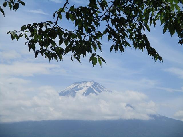 画像19: 岡田ガイドのハイキングコースで山梨県の 新倉山 へ行ってきました♪