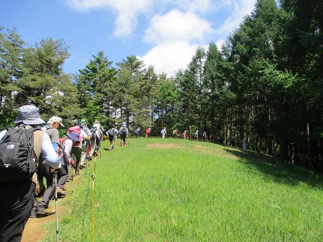 画像8: 岡田ガイドのハイキングコースで山梨県の 新倉山 へ行ってきました♪