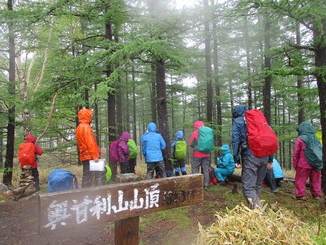 画像12: 岡田ガイドのコースで、山梨県のツツジで有名な 甘利山 へ行ってきました♪