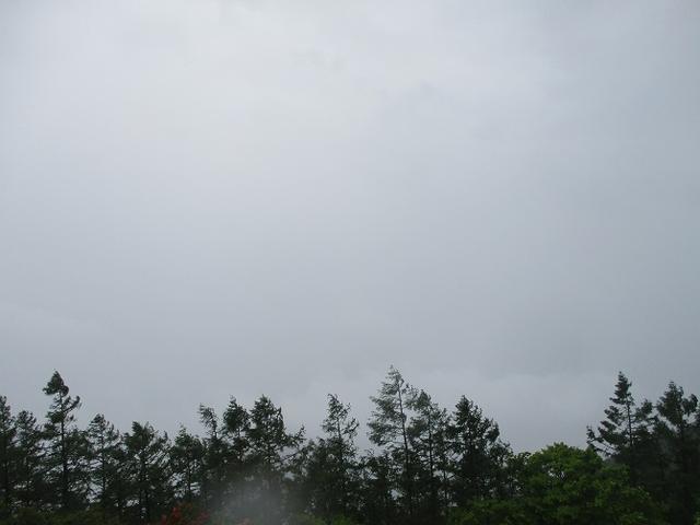 画像5: 岡田ガイドのコースで、山梨県のツツジで有名な 甘利山 へ行ってきました♪