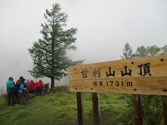 画像9: 岡田ガイドのコースで、山梨県のツツジで有名な 甘利山 へ行ってきました♪