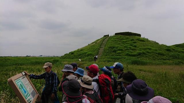 画像7: 穂苅先生のコースで、 さきたま古墳と古代蓮の里 へ久々の親子コンビで行って来ました♪