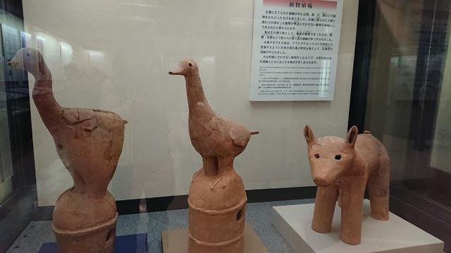 画像10: 穂苅先生のコースで、 さきたま古墳と古代蓮の里 へ久々の親子コンビで行って来ました♪